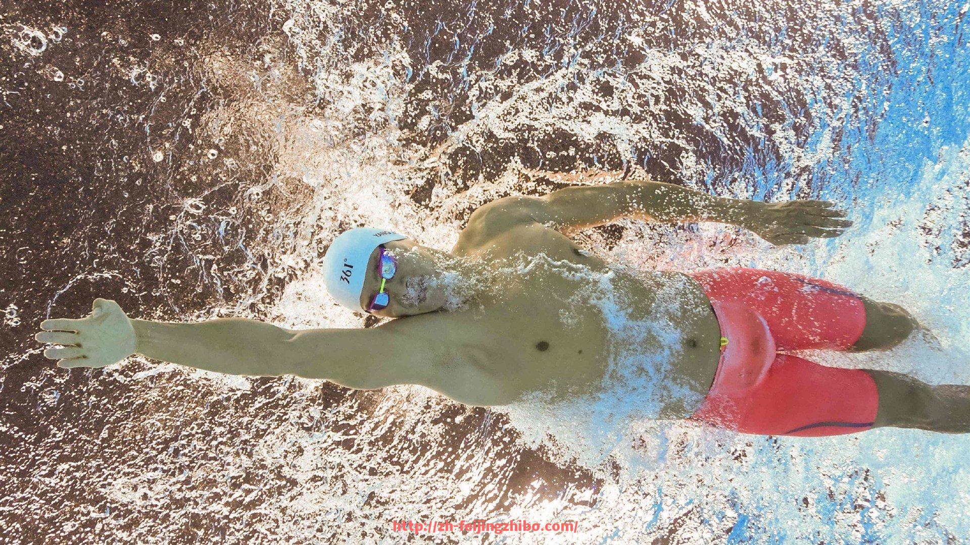 飞鲸体育直播-世俱杯赛场文化介绍及观赛体验分享