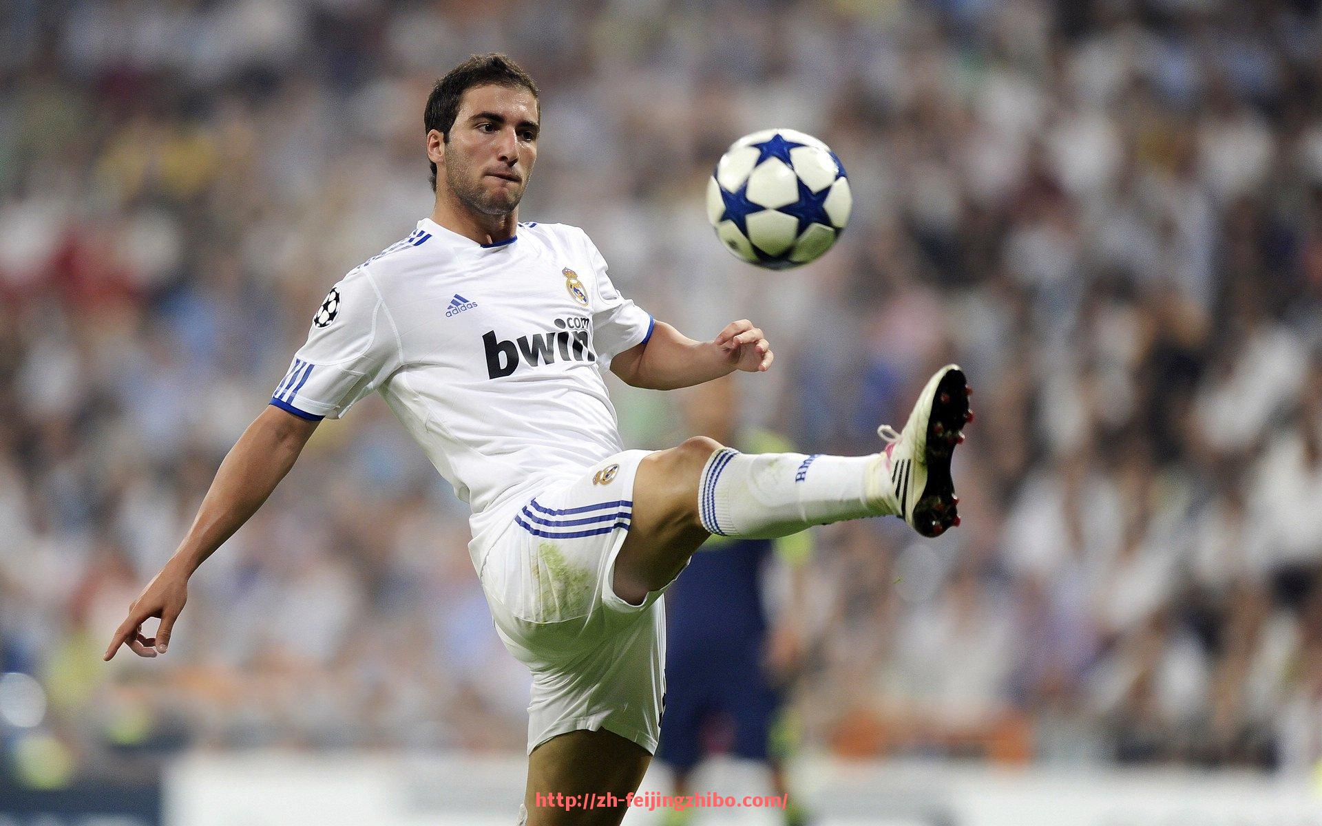 飞鲸体育直播-山东省CBA球队2015年完整球员名单与赛季表现